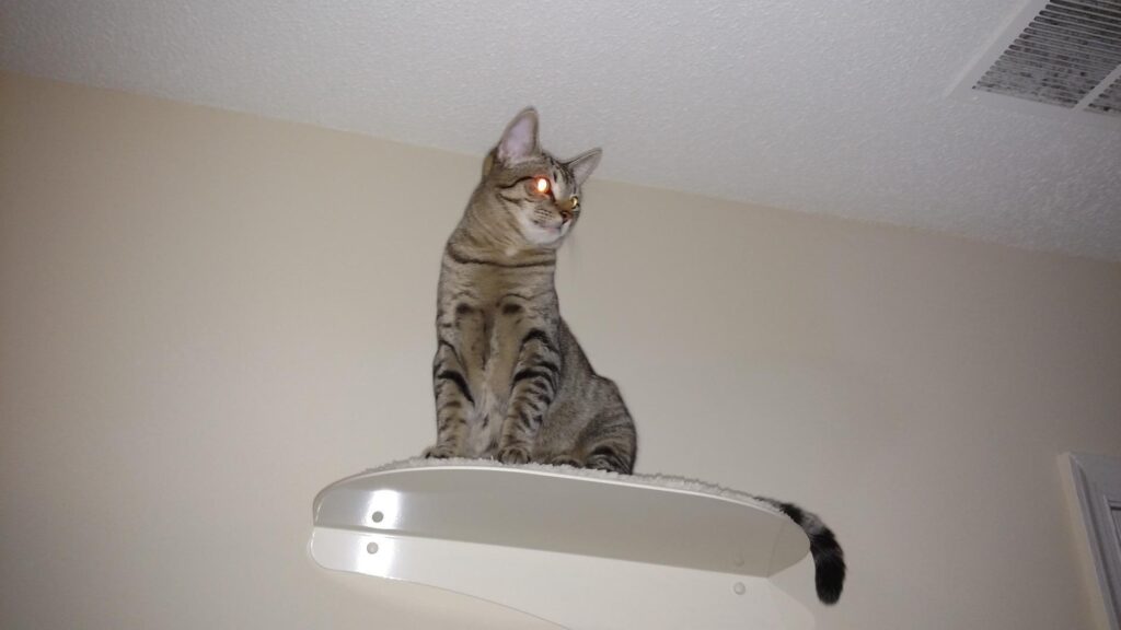 Image #1 from Stephen