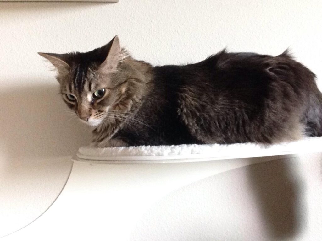 Image #1 from Robert S.