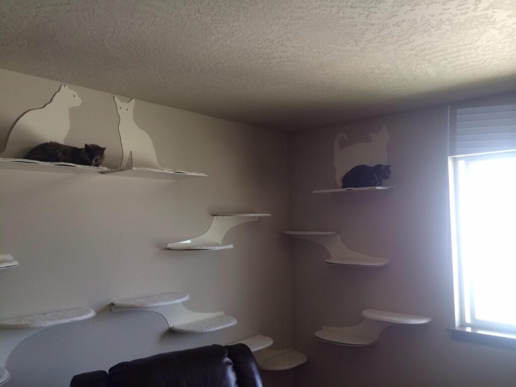 Image #1 from Robert S.