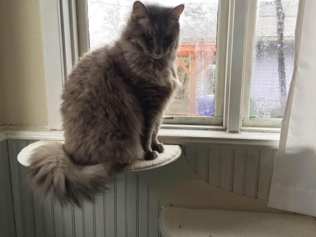 Image #1 from The Paper Mama