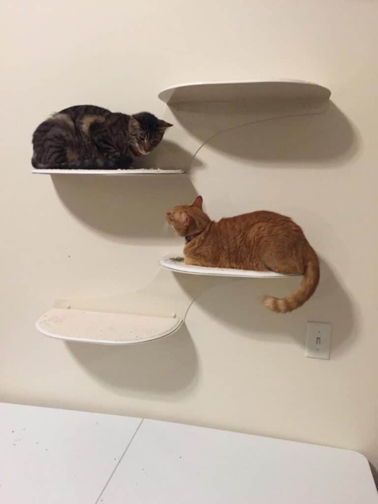 Image #1 from Derek B.