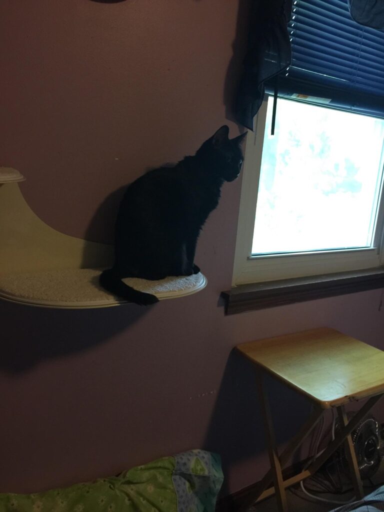 Image #1 from Amazon Customer