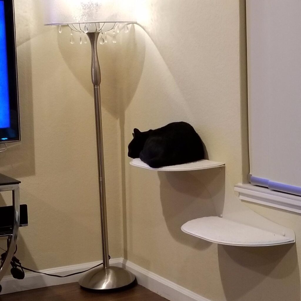 Image #1 from RoadCommuter