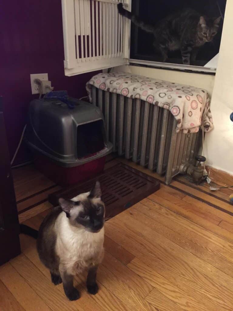 Image #1 from Michele D. Ortiz