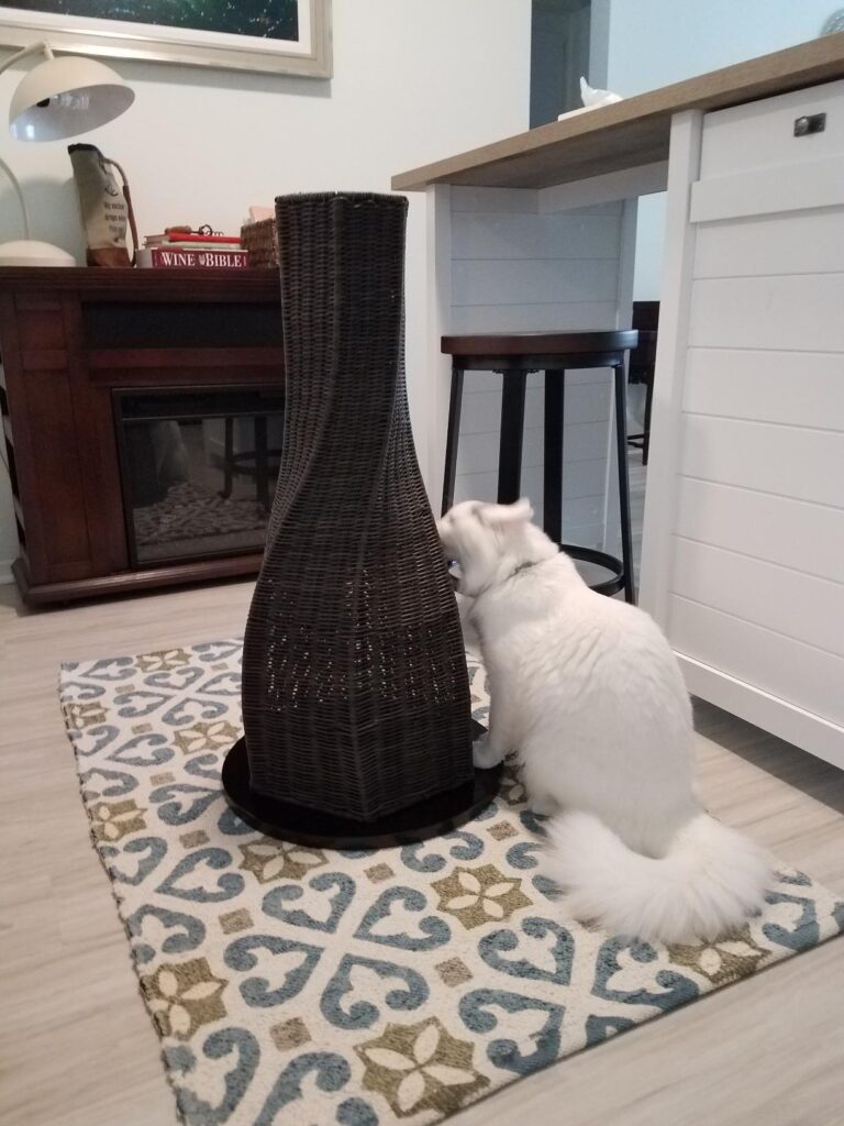 Image #1 from Sheila C