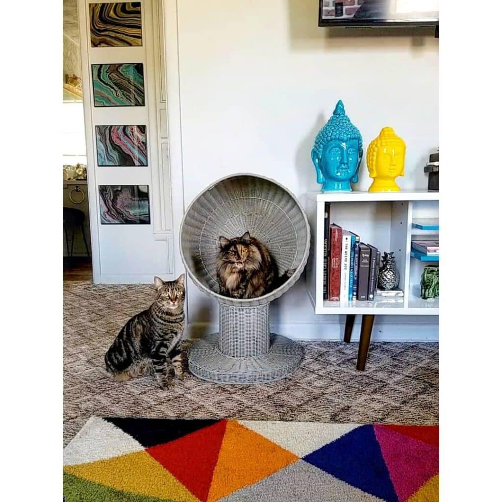 Image #1 from Madison