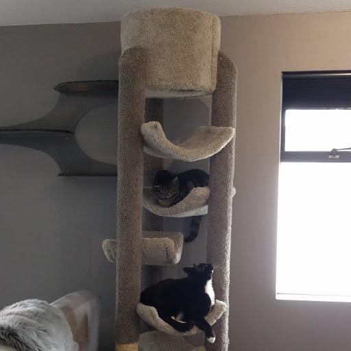 Image #1 from Donna Alexander