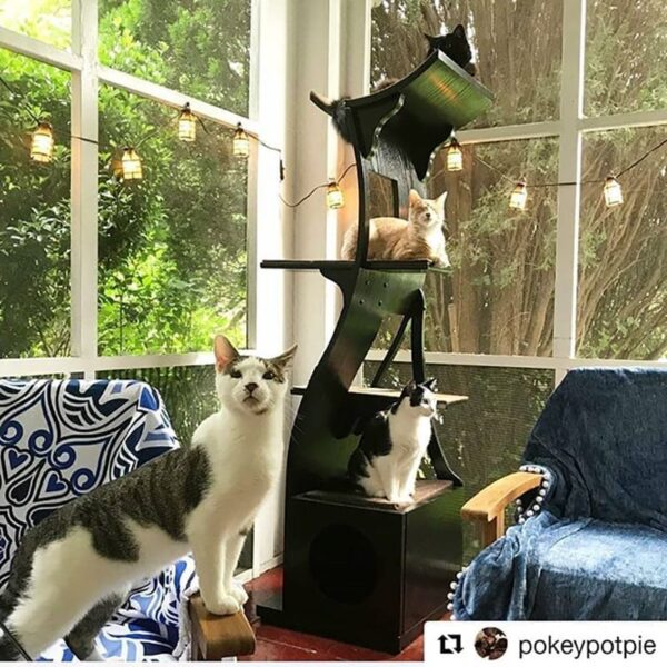 Lotus Cat Tower A Modern Cat Tree The Refined Feline