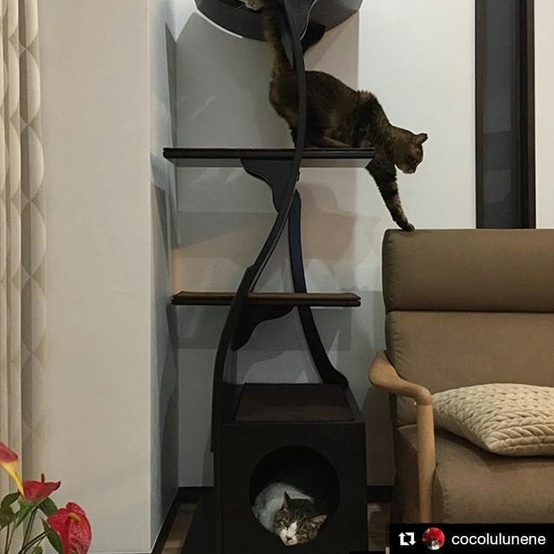 Lotus Cat Tower Espresso