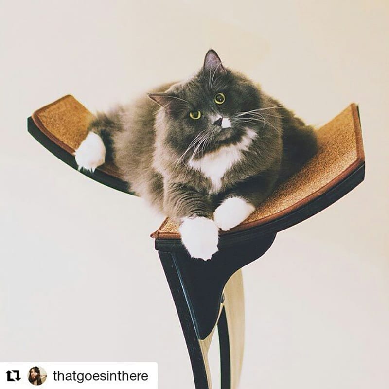 Lotus Cat Tower: A Zen Cat Tree of Modern Design | The Refined Feline