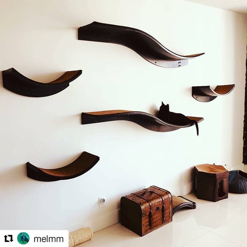 Espresso Lotus Leaf and Branch cat shelves on wall; black cat on a shelf above boxes and baskets on the floor.