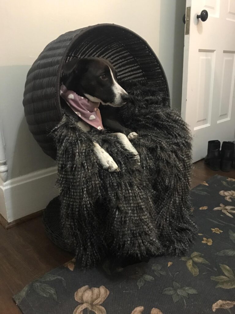 Image #1 from Amazon Customer