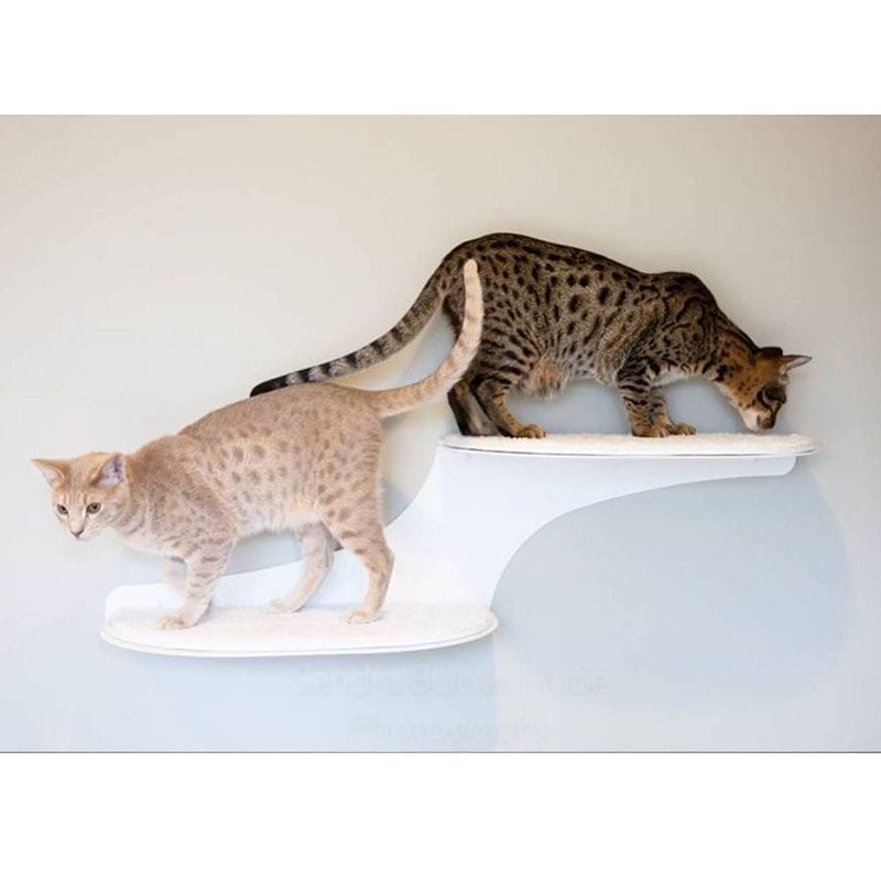 Cat Clouds Cat Shelf White