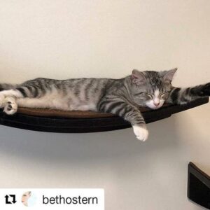 Lotus Branch Cat Shelf Espresso