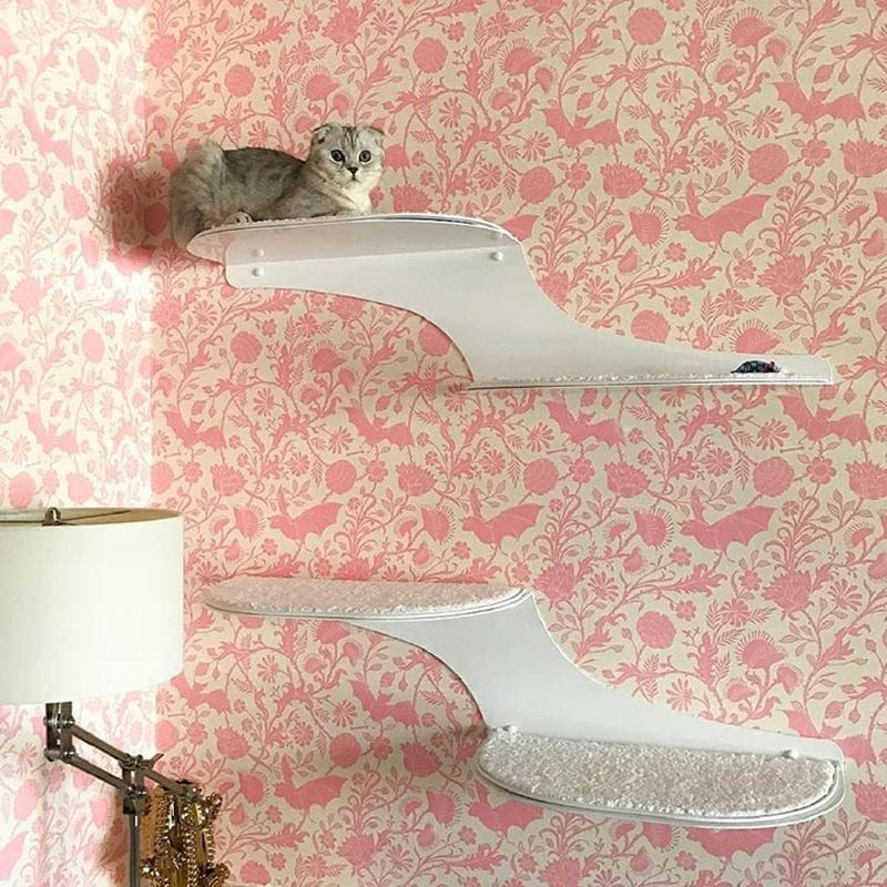 Cat Clouds Cat Shelf White