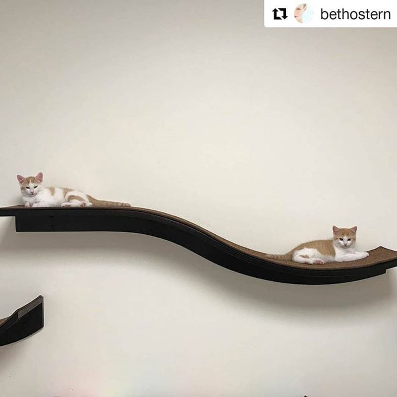 Two orange and white kittens rest on a black, wave-shaped wall shelf against a plain light-colored wall.