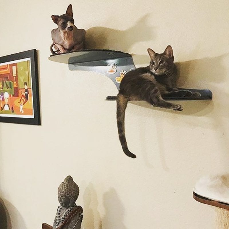 Cat Clouds Cat Shelf Titanium