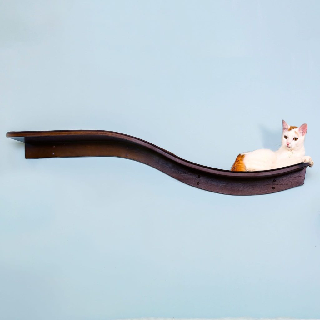 White and orange cat lying on a mahogany, wave-shaped Lotus Branch Cat Shelf mounted to a light blue wall.