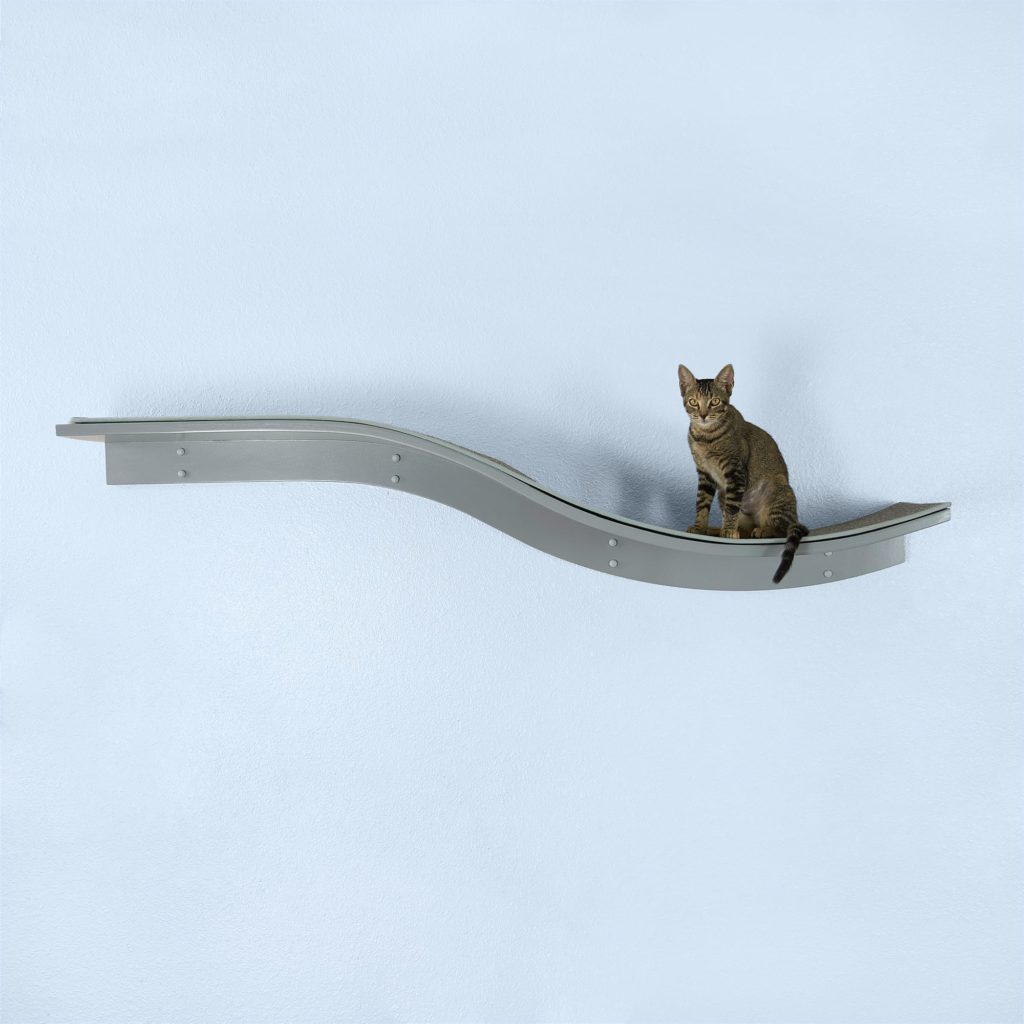 Tabby cat sits on a sleek, gray, wall-mounted Lotus Branch Cat Shelf against a light blue wall.