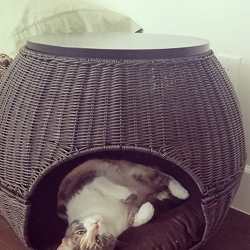 Cat Igloo The Igloo Cat Bed Deluxe Bed & Side Table The Refined Feline