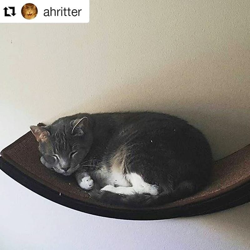 Lotus Leaf Cat Shelf Espresso