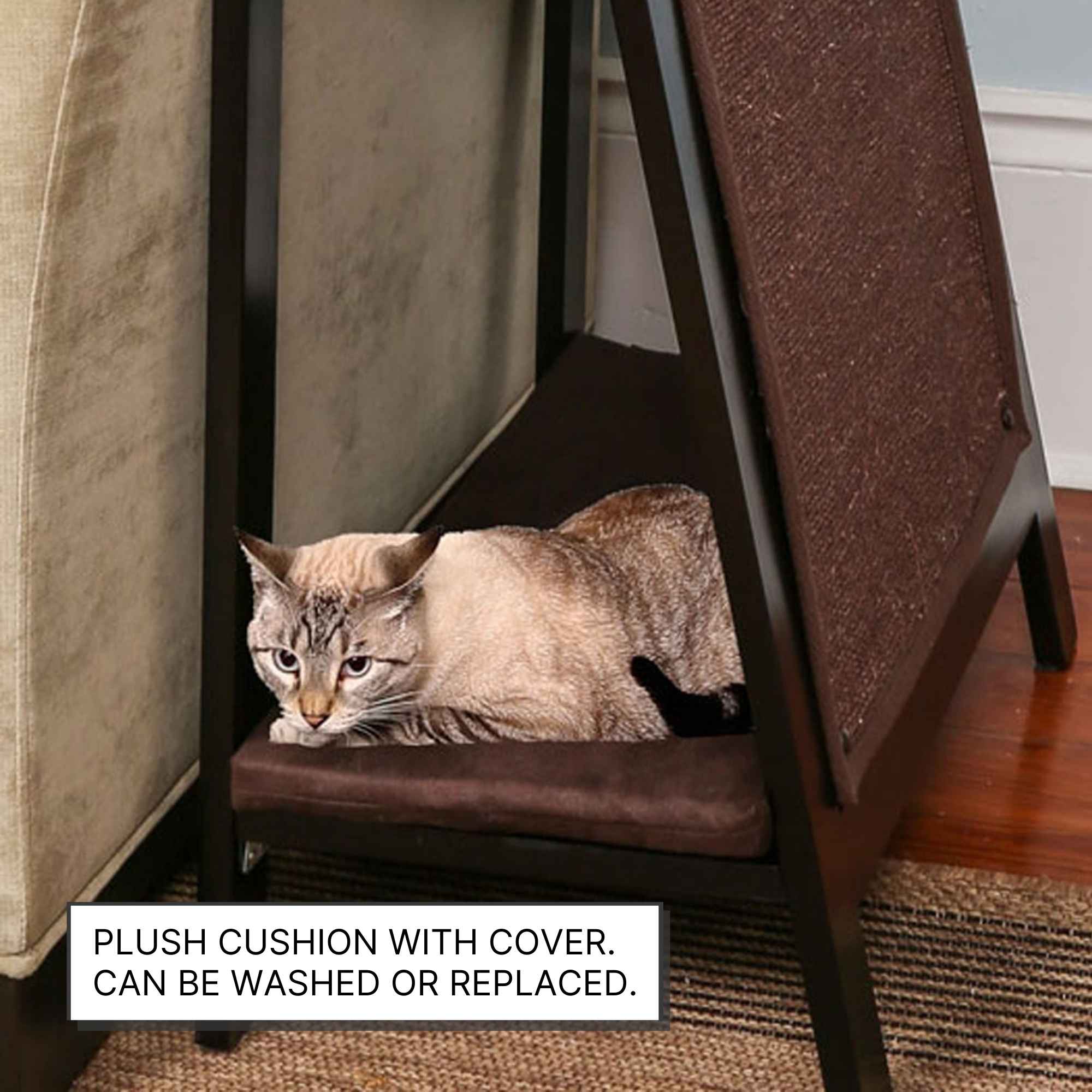 Catt Frame Cat Frames