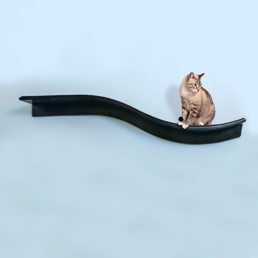 A grey tabby cat sits on a modern wavy wall-mounted shelf against a plain light blue background.
