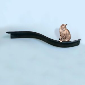 A grey tabby cat sits on a modern wavy wall-mounted shelf against a plain light blue background.