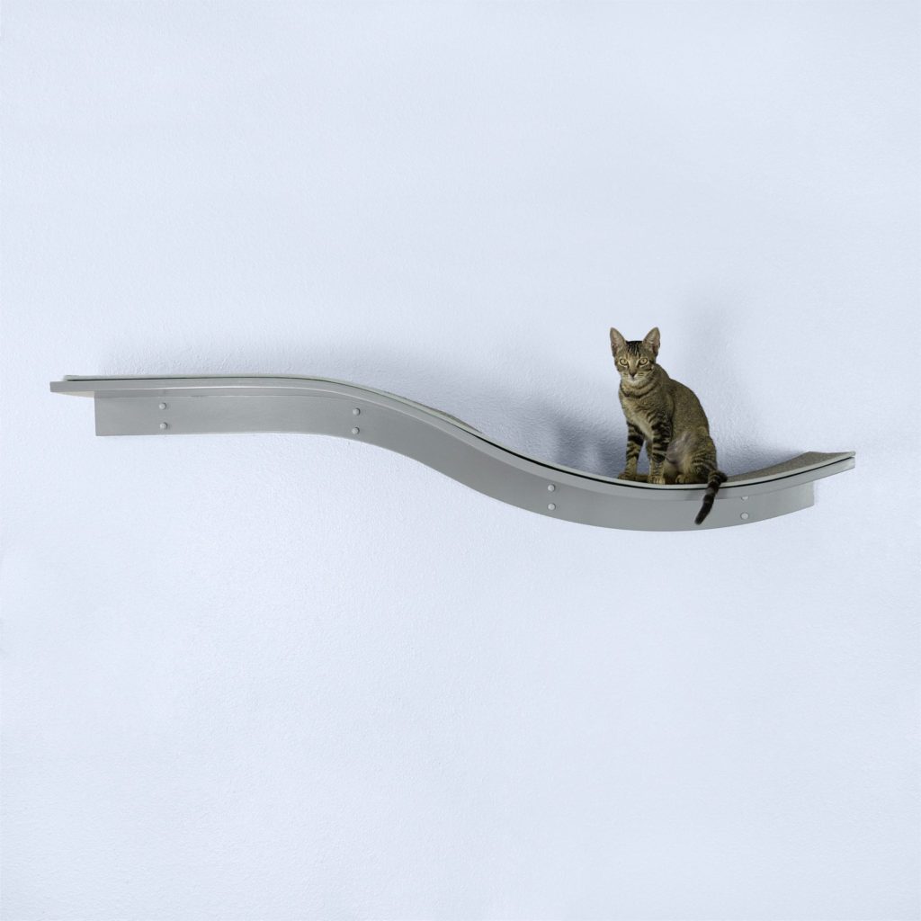 Tabby cat sitting on a sleek, curved gray wall-mounted Lotus Branch Cat Shelf against a plain white wall.