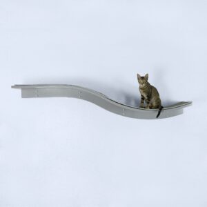 Tabby cat sitting on a sleek, curved gray wall-mounted Lotus Branch Cat Shelf against a plain white wall.