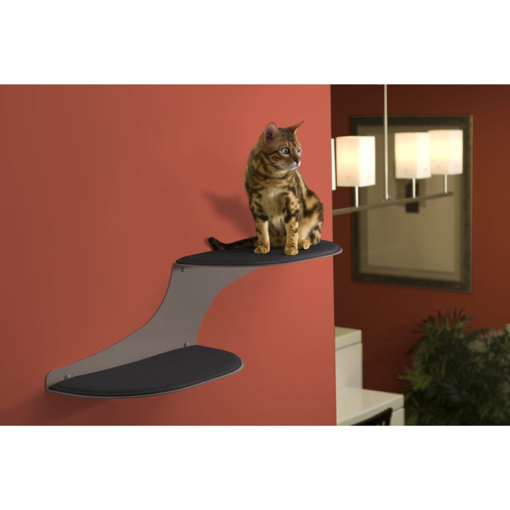 Cat lying on a titanium wall-mounted shelf against a red wall, with modern light fixture and plant in background.