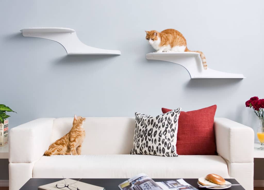Wall Cat Shelves for Cat Walk