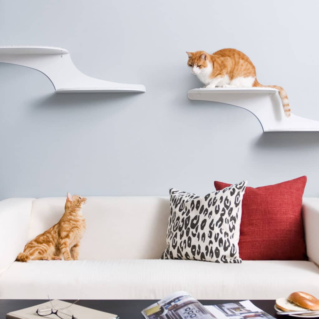 best modern cat furniture: cat wall shelves