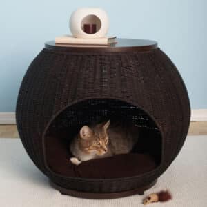cat igloo the range