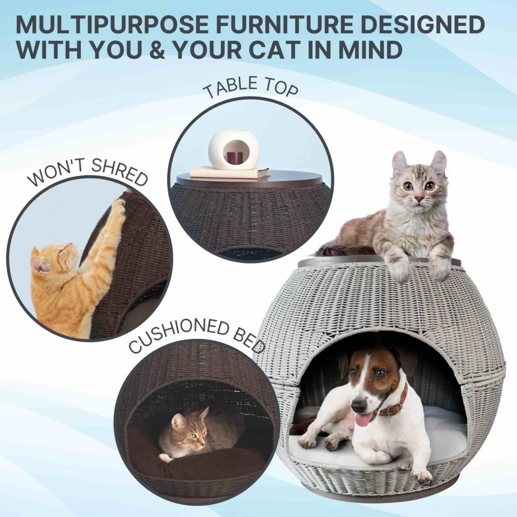 Igloo cat bed features