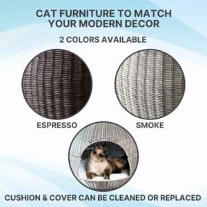 Igloo cat bed options