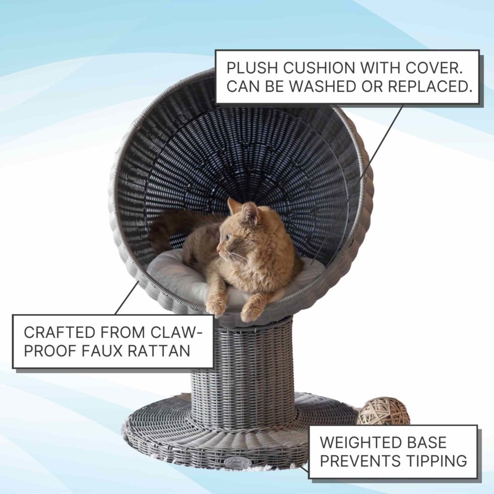 Kitty Ball Cat Bed Raised Cat Bed, Scratchproof The Refined Feline