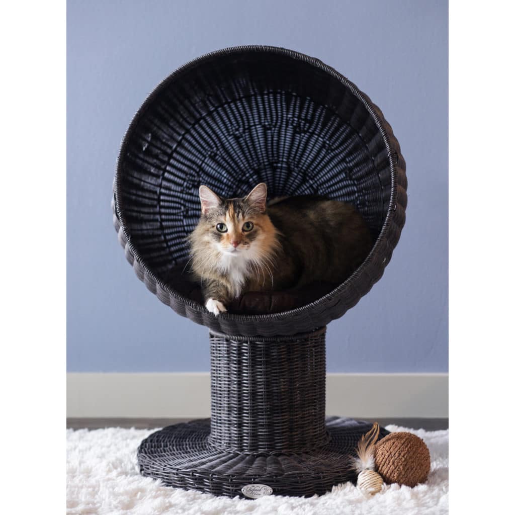 Goodbye Cat Condo!