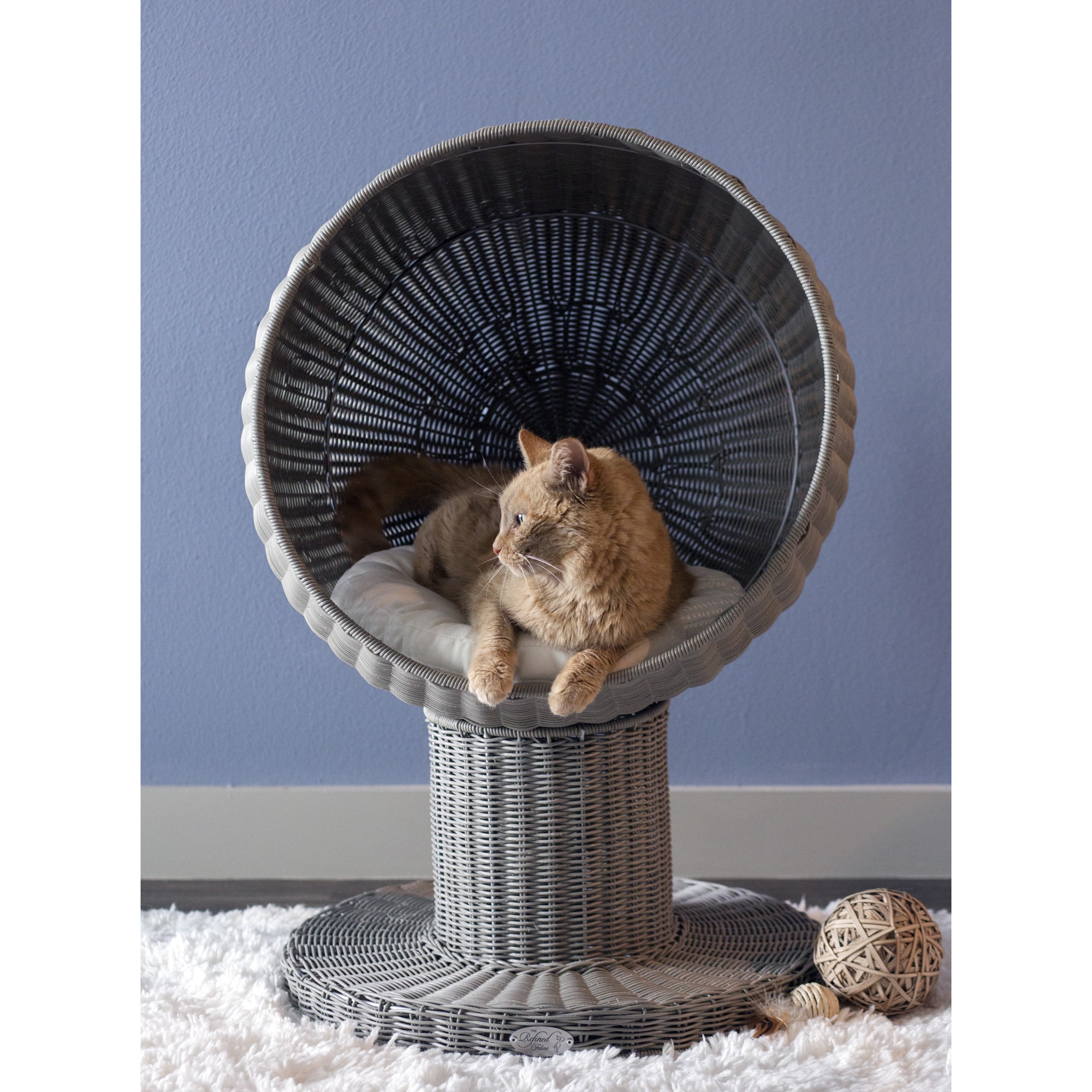 Off the floor cat beds deals