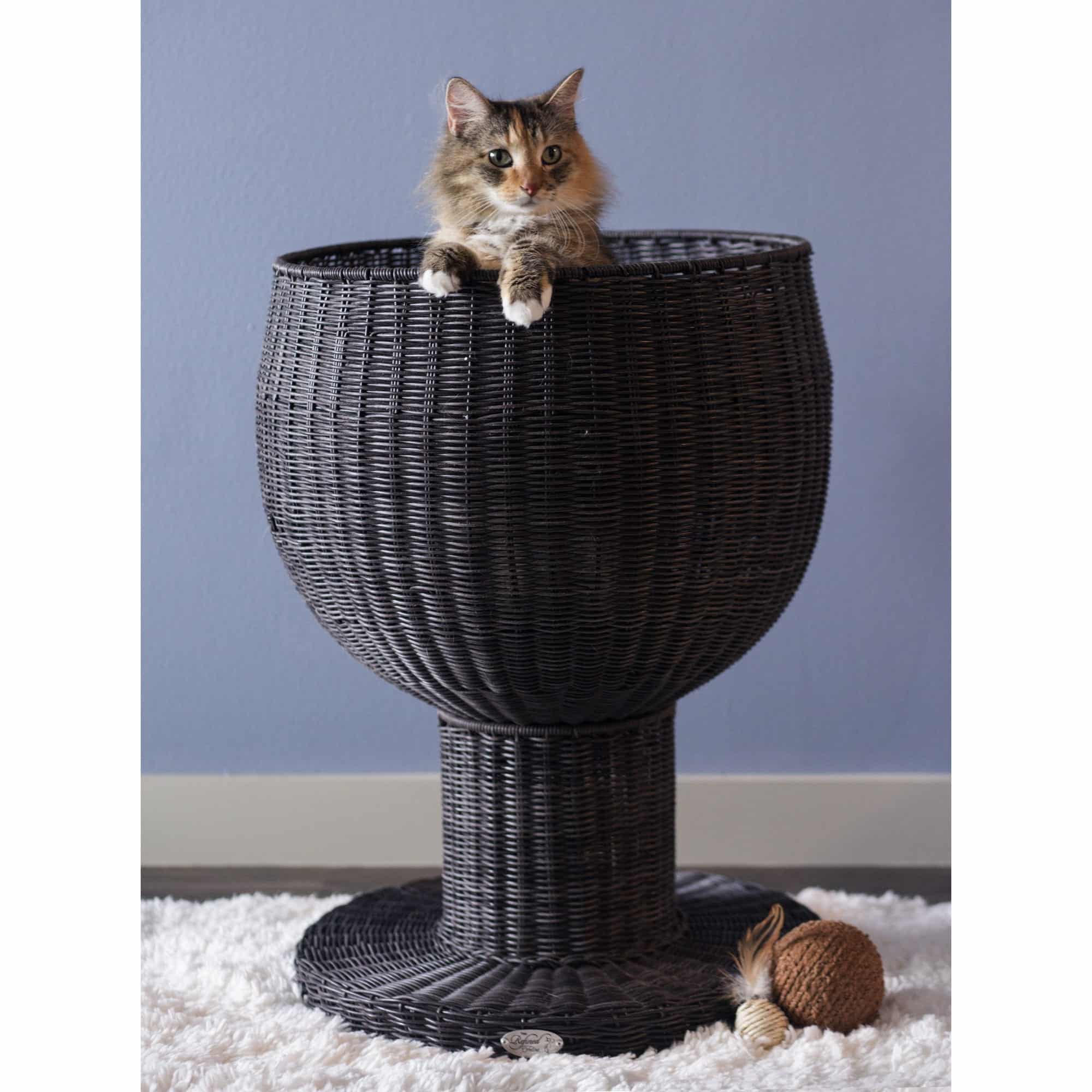 refined feline kitty ball cat bed