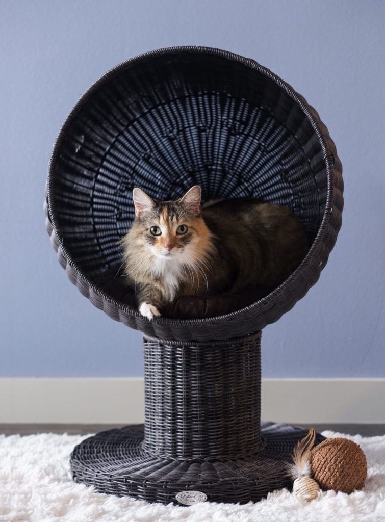 Kitty Ball Cat Bed Furniture