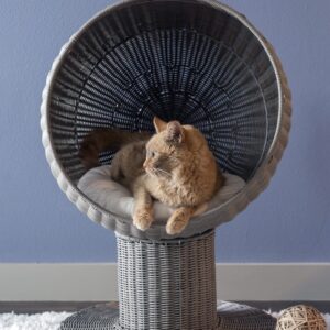 tall cat bed