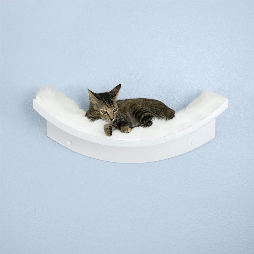 Tabby cat resting on a white, curved wall-mounted shelf with a soft cushion, resembling a lotus leaf.
