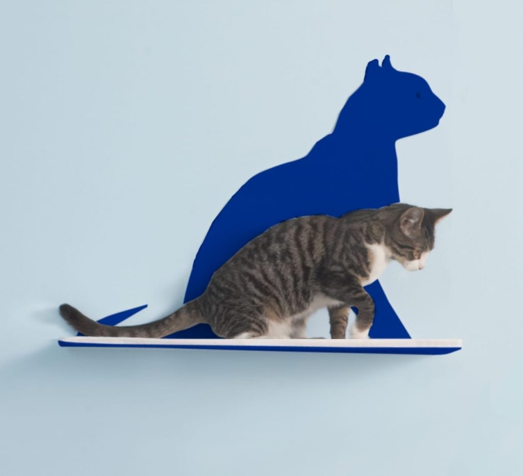 Cat Silhouette Cat Shelves Gaze Blue