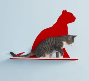 Cat Silhouette Cat Shelves Gaze Red