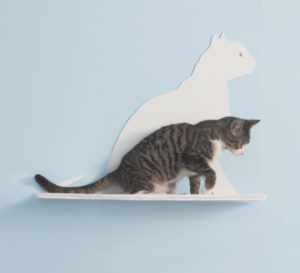 Cat Silhouette Cat Shelves Gaze White