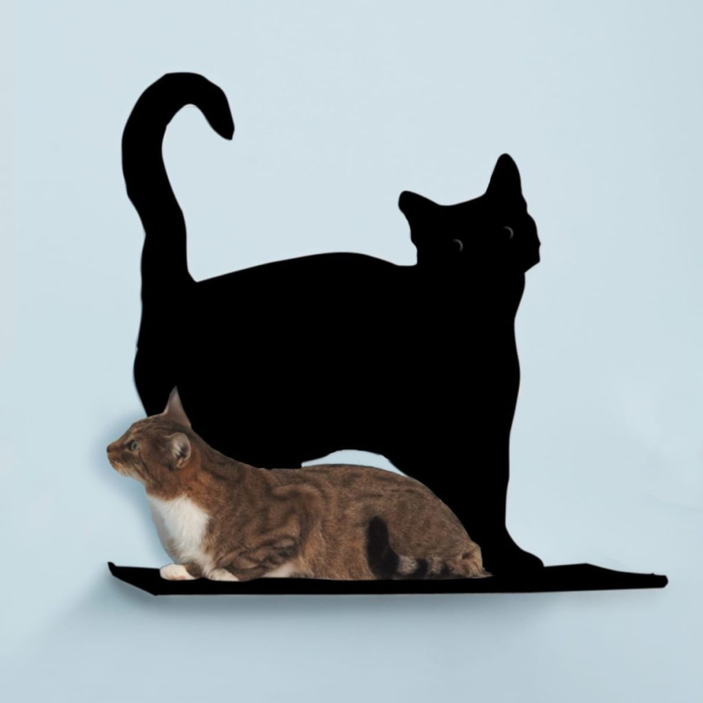 Cat Silhouette Cat Shelves Prance Black