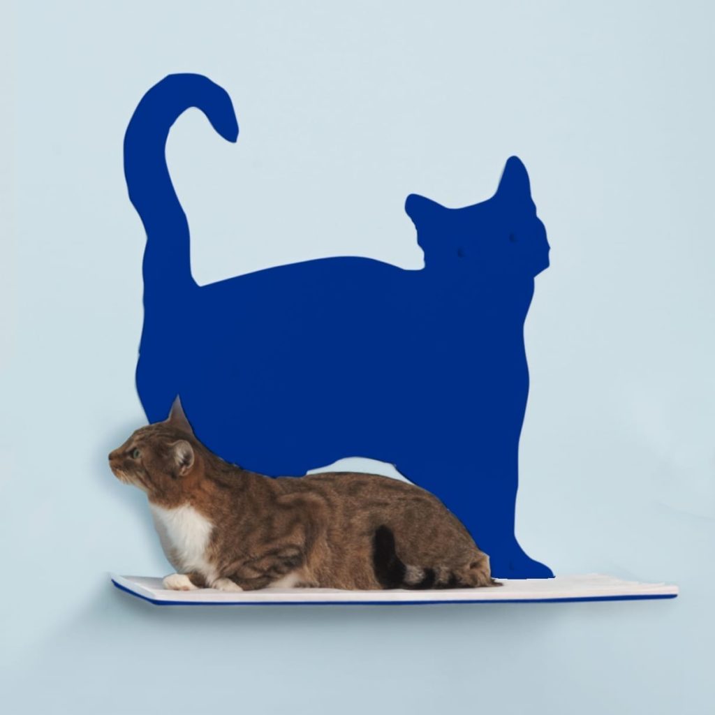 Cat Silhouette Cat Shelves Prance Blue