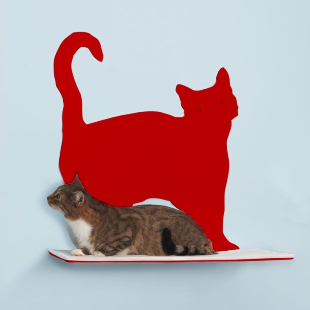 Cat Silhouette Cat Shelves Prance Red