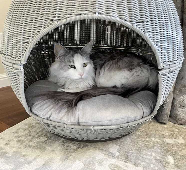 Igloo Cat Bed